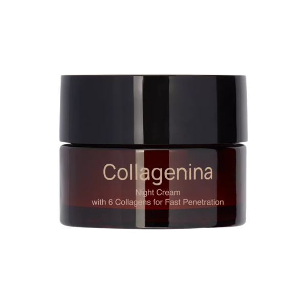 Collagenina Night Cream with 6 Collagens 50ml Grade 2 | Acheter au Maroc