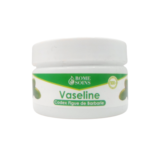 Rome Soins Vaseline Codex Figue de Barbarie 120g | Acheter au Maroc
