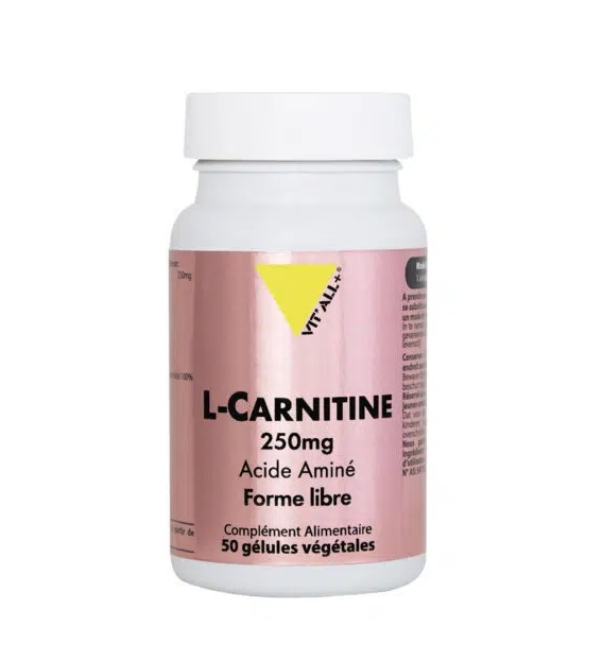 VITALL PLUS L CARNITINE 250MG 50 GELULES | Acheter au Maroc