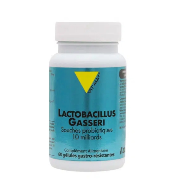 VITALL PLUS LACTOBACILLUS GASSERI 100MG 60 GELULES | Acheter au Maroc